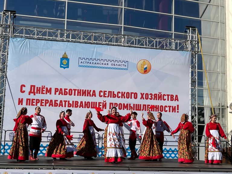 АНСАМБЛЬ ВЫСТУПИЛ НА АГРОФЕСТИВАЛЕ